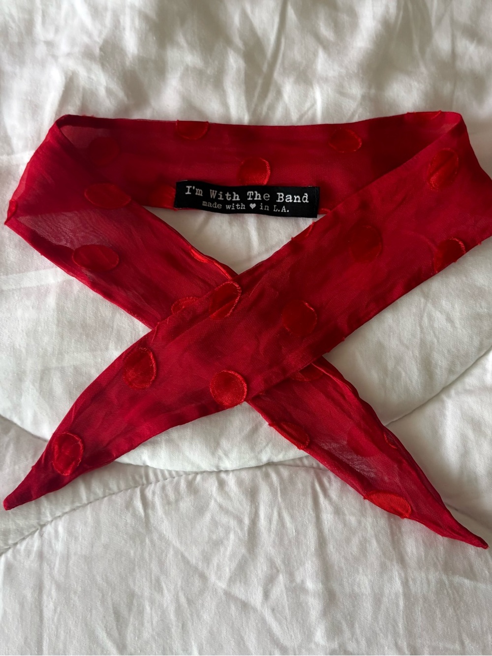 I’m with the Band Scarf Tie